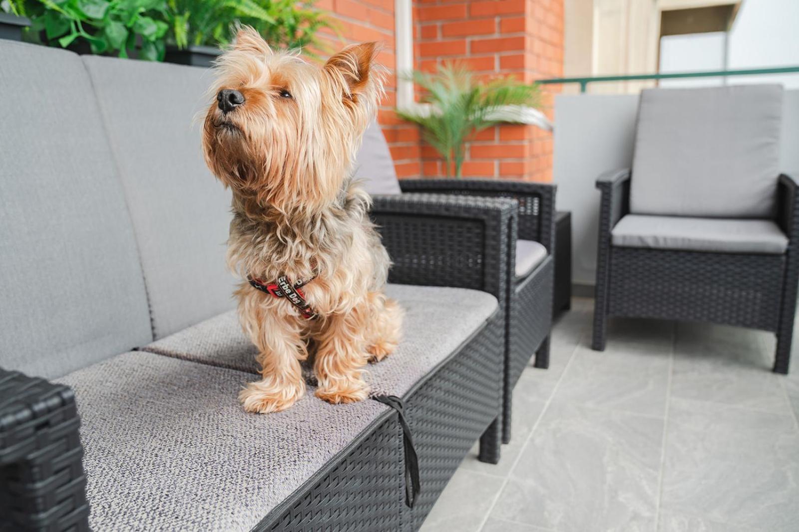 Casa De Dinca, 2 Bedroom, 6 Person, Free Parking Zone Zagreb Ngoại thất bức ảnh